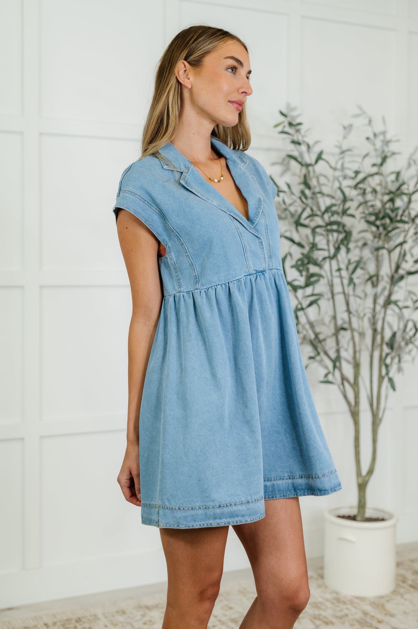 First Rodeo Denim Mini Dress